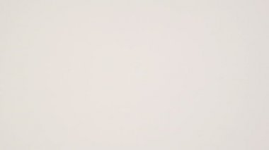 Hindiba tozu beyaz bir yüzeye düşer. Doğal Kokulu İçki. Makro atış. Yakın plan. Ağır çekim. Kahvaltıda canlandırıcı sabah içkisi konsepti..