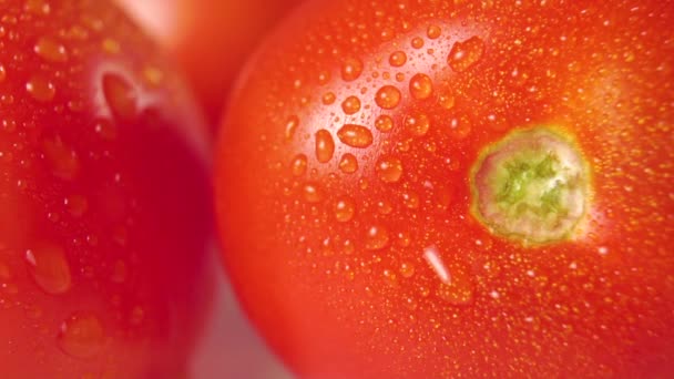 Wassertropfen Auf Rote Reife Saftige Tomaten Sprühen Zum Waschen Und — Stockvideo