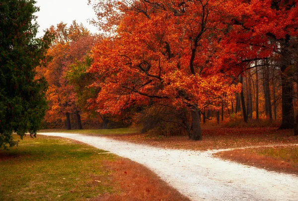 Hermoso callejón paisaje de otoño en el parque con senderos para caminar —  Fotos de Stock