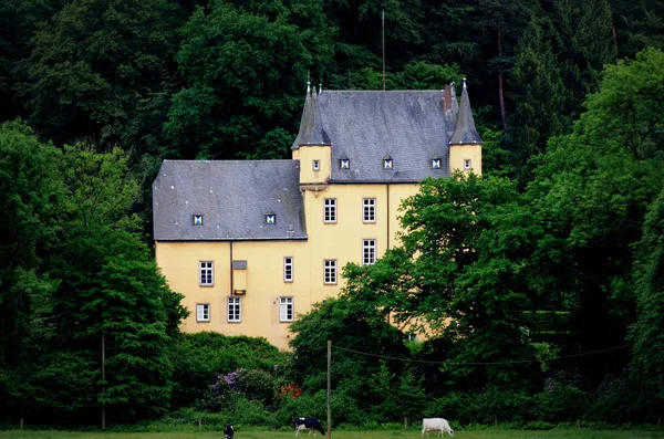 Romantic Castle Strauweiler Deep Forest Bergisches Land Germany — Stock Photo, Image