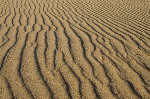 Sand Texture Background Beach — Stock Photo, Image
