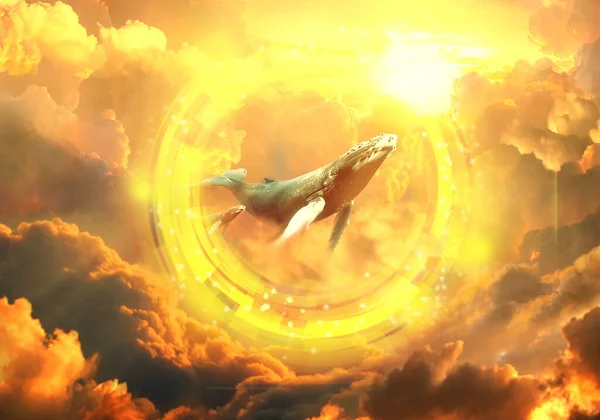 Artistic 3d illustration of a glowing round shape on a whale floating in the sky between clouds