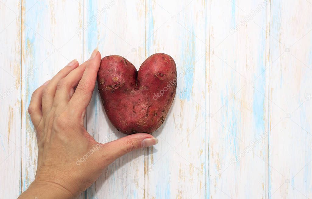 Female hand hold an ugly potatos on the white wooden background. Food waste concept. Copy space.