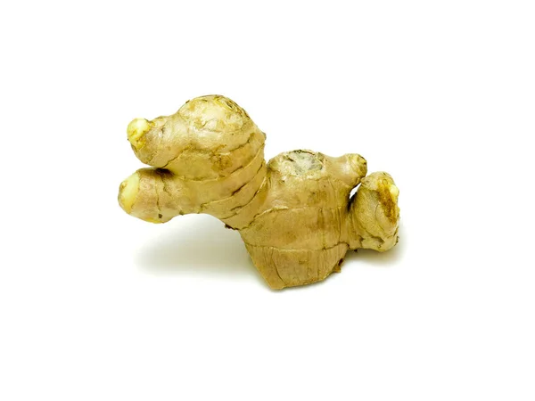 Fresh Ginger Isolated White Background — Stock Photo, Image