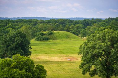 Cahokia Tepeleri Devlet Tarihi Sitesi Görünümü