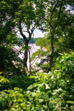 Maumee Nehri, Fort Miamis Ulusal Tarihi Bölgesi 'ndeki ağaçların arasından geçiyor. 
