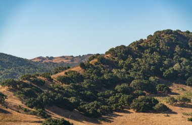Fort Ord Ulusal Anıtı 'nın Rolling Hills' i.
