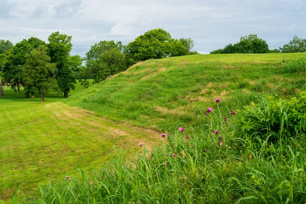 Utsikt över Cahokia Mounds State Historic Site — Stockfoto