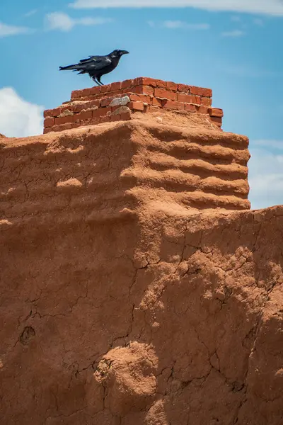 Adobe Ruins e Raven em Fort Union Monumento Nacional — Fotografia de Stock