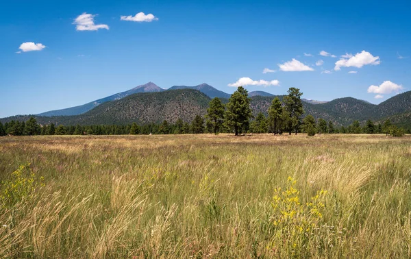 The Arid Landscape of Flagstaff, AZ — Stock Photo, Image