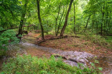 River at George Washington Carver Ulusal Anıtı