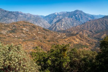 Dev Sekoya Ulusal Anıtı 'ndaki Rocky Dağları