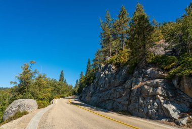 Road up Mountain at Giant Sequoia National Monument clipart