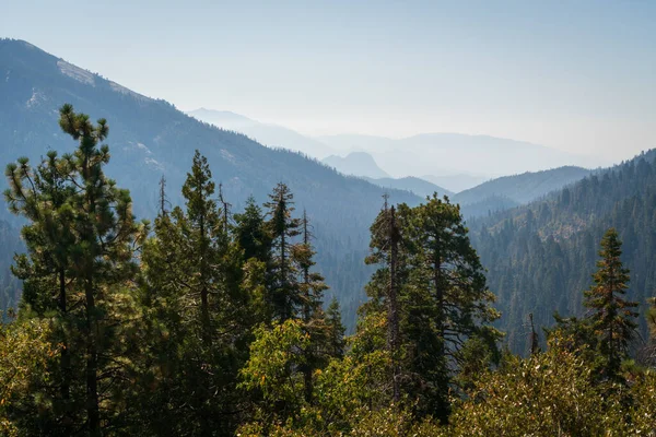 Καπνός από τη φωτιά του δάσους γεμίζει στην κοιλάδα στο Giant Sequoia Nati — Φωτογραφία Αρχείου