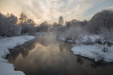 Pekhorka nehir hoarfrost ağaçları ile