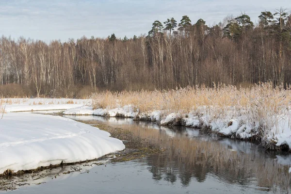 Der schneebedeckte Fluss Pekorka — Stockfoto