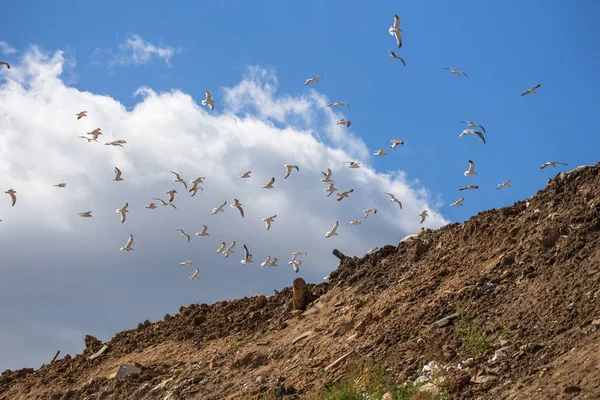 Het storten van huishoudelijk afval in Kuchino — Stockfoto