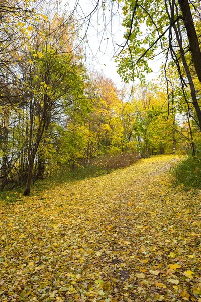 Senderos Otoño Finca Pehra Yakovlevskoe Balashikha — Foto de Stock