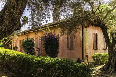 İsrail 'in Zichron Yaakov kasabasında bisiklet gezisi.