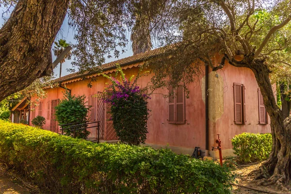 Zichron yaakov, İsrail - 11 Kasım 2019: Gezinti güvertesinde bisiklet.