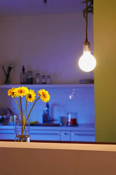 Odanın köşesinde basit ve minimal bir iç dekorasyon..