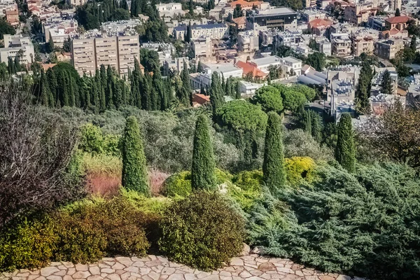 11 de noviembre de 2019. Israel, Haifa City Editorial.Una vista de la ciudad de Haifa desde el Monte Carmelo — Foto de Stock