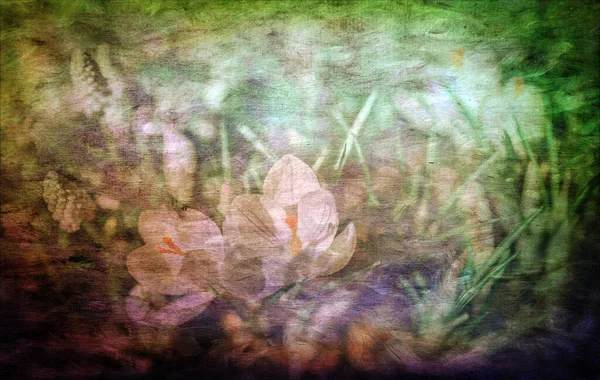Illustration einer weißen Blüte in grünroten Tönen. Stockfoto