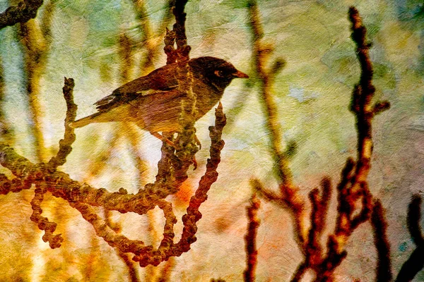 Szűrés Kis madár Ült egy faágon. — Stock Fotó