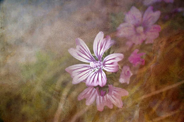 Ilustração de uma flores roxas em tons vermelhos verdes . — Fotografia de Stock