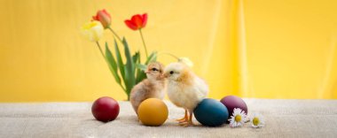 Paskalya tavuk Paskalya dekorasyon