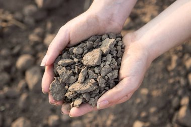 Kuru ve cansız toprak hayat sürdüremezsin