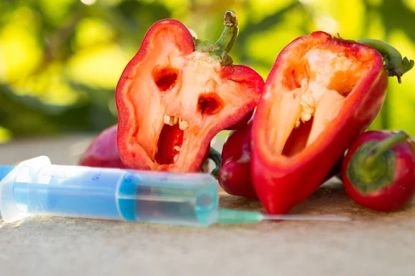 Entwicklung von gmo pepper — Stockfoto