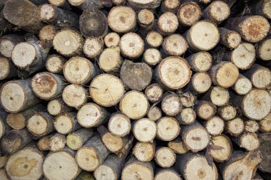 Ahşap ile günlükleri