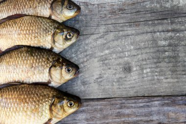 Taze gümüş sazan balık