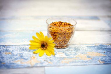 Polen masada plastik cam