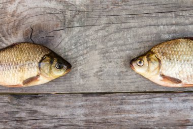 İyi bir balıkçı yakalamak