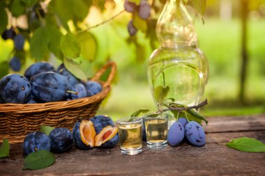 Geleneksel Sırp rakia slivovitsa