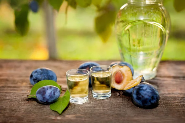 Brandy de ameixa Slivovitsa em copos de tiro — Fotografia de Stock