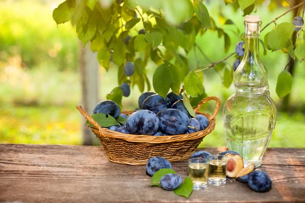 Serbe rakia avec verres et panier de prune — Photo