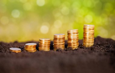 Yükselen sikke yığını