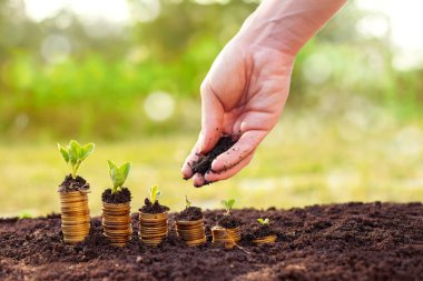 Gelecekteki para büyüme üzerinde odaklanmak