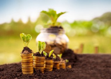 Sikke toprakta büyüyen Finansal güvenlik 