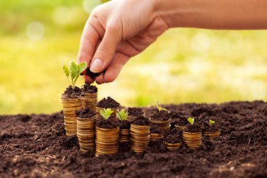 Para tasarrufu zaman ayırın