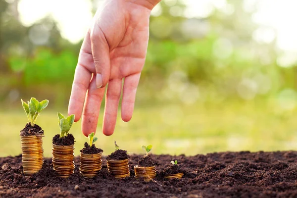 Obtener más dinero ahorrando — Foto de Stock