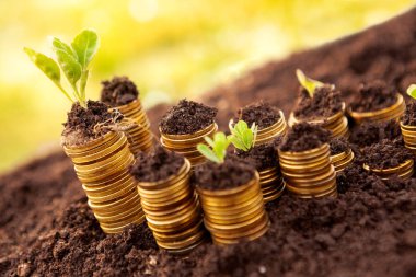 Para kazanmak için etkili yol