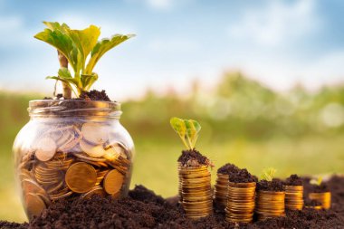 Kavanoz tasarruf için