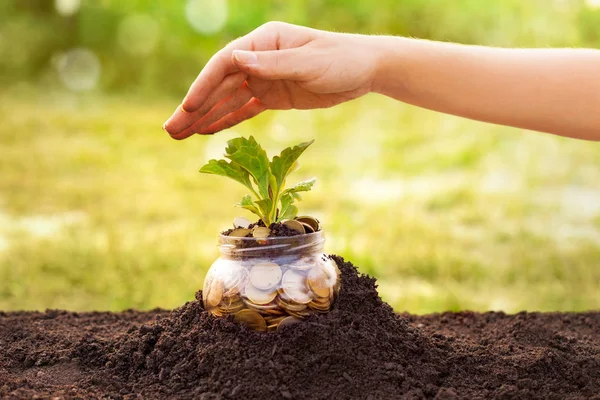 Advanced savings, coins in soil — Stock Photo, Image