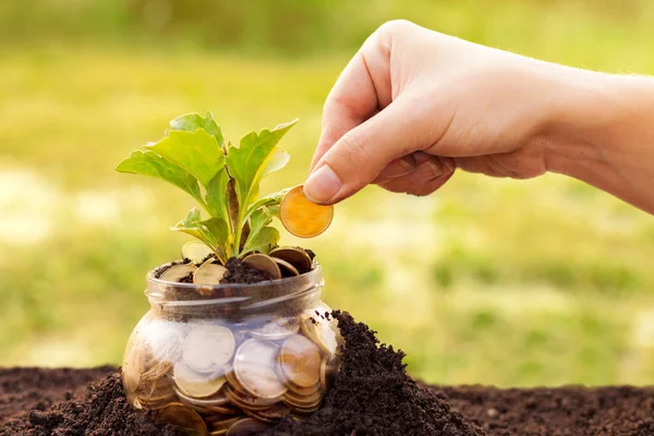 Pequeños ahorros conducen a un gran éxito — Foto de Stock