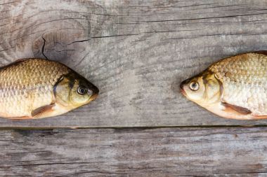 İyi bir balıkçı yakalamak