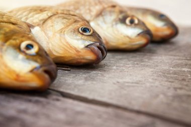 İyi fishermans yakalamak